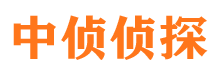 鲁山侦探公司